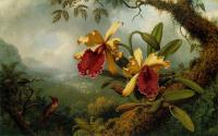 Heade, Martin Johnson - Orchids and Hummingbird